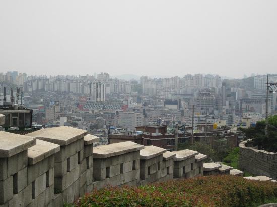 東大門 歴史・文化 公園